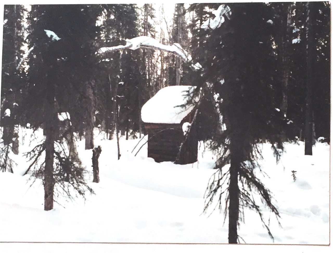 Cold outhouse to use