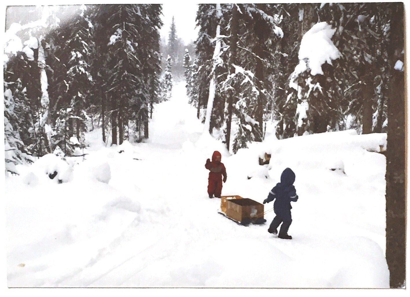 Sledding in the darkness