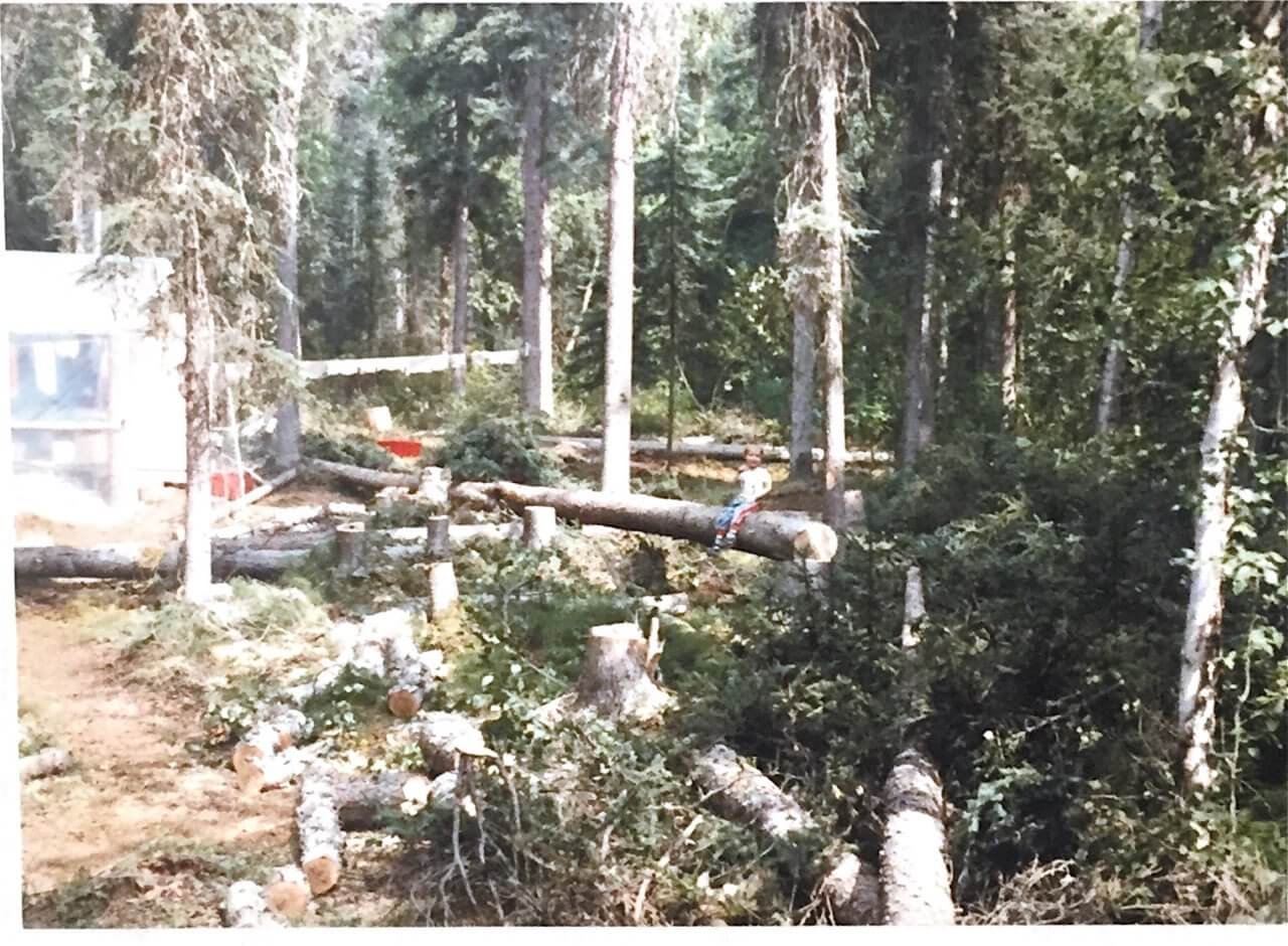 children's new playground of fallen trees