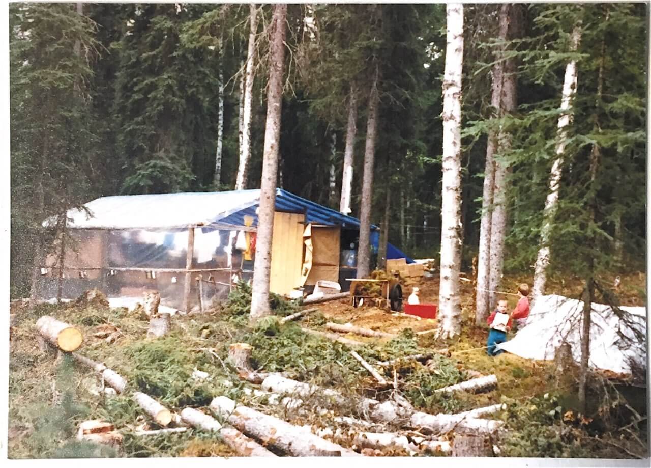 life on our wilderness homestead