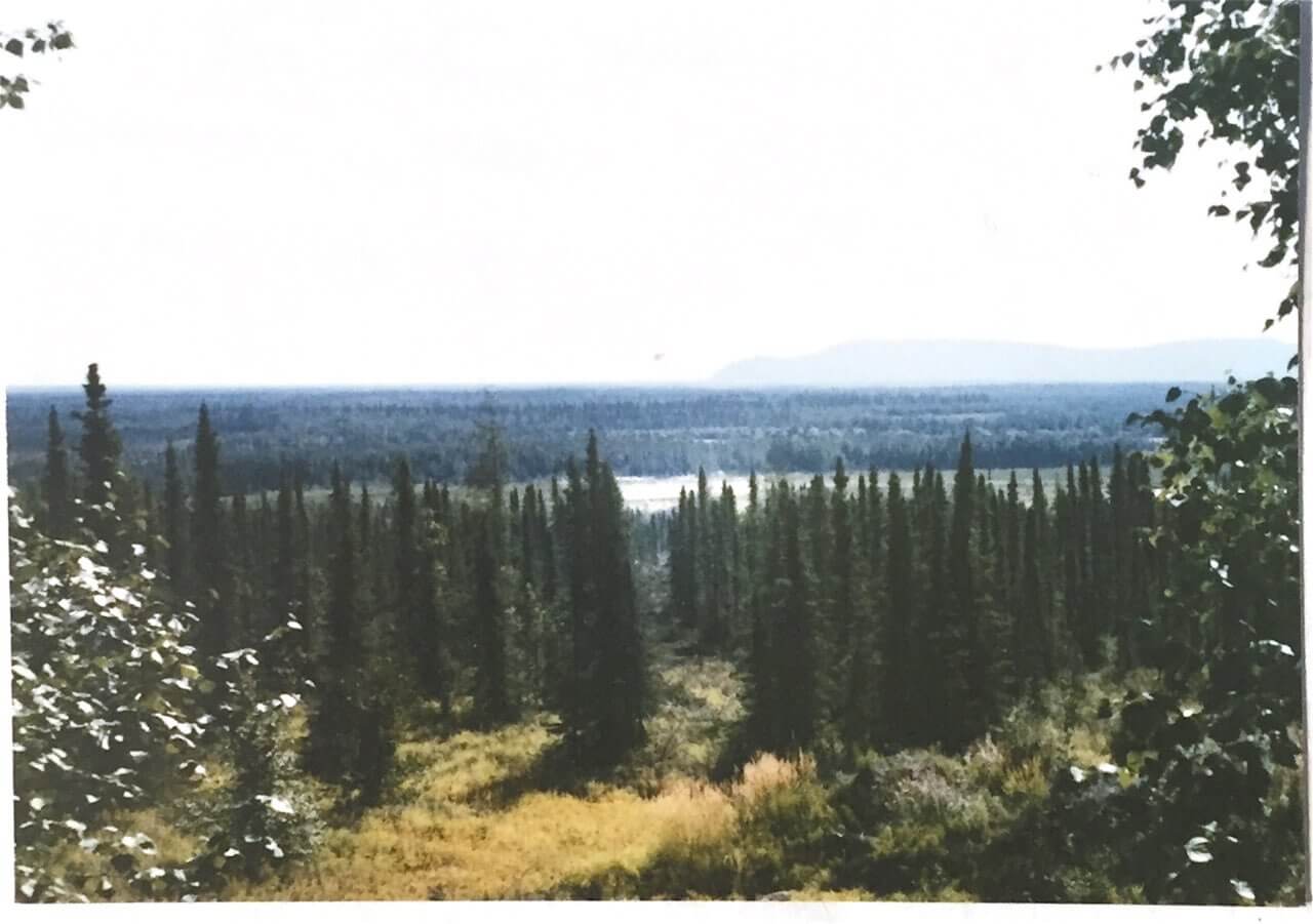 a favorite lake view from the top of our homestead